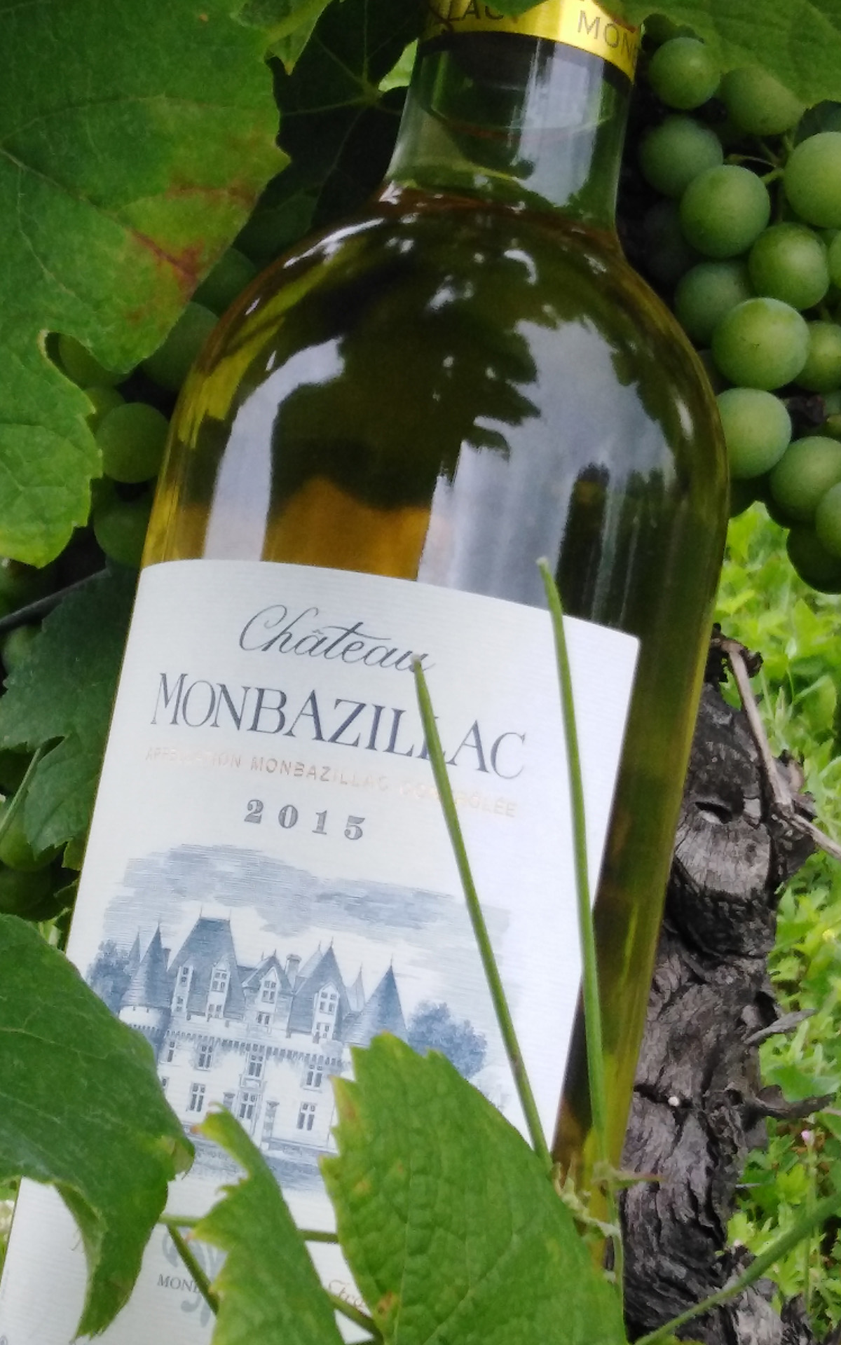 Chateau Monbazillac